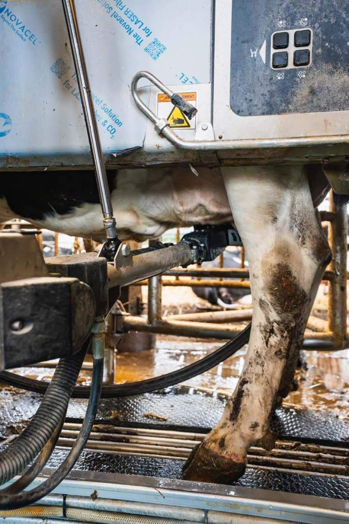 Découverte de la ferme Saint-Gaultier