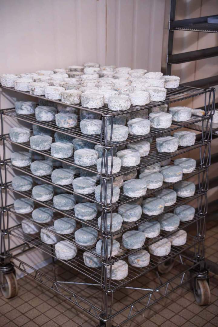 Producteur produits fermiers Saint-Gaultier