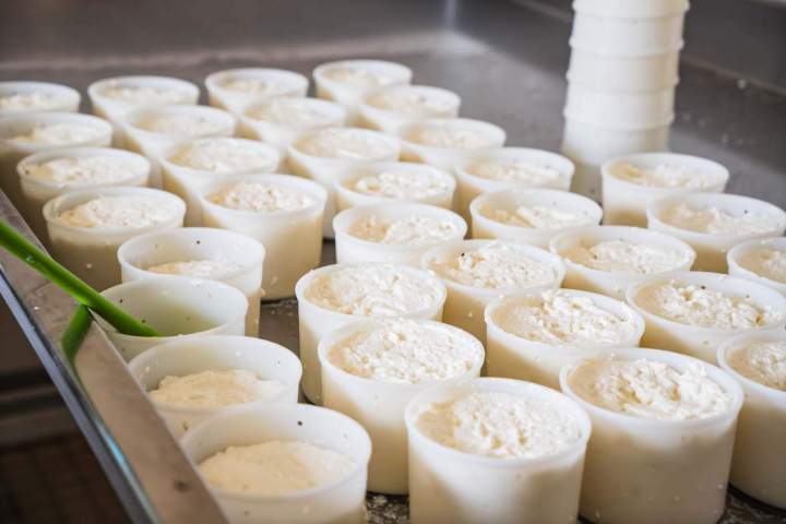 Production fromage Saint-Gaultier