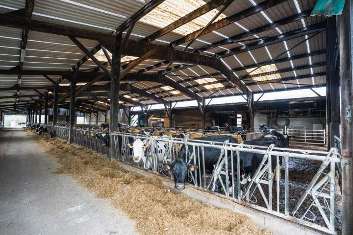 Producteur de la ferme Saint Gaultier