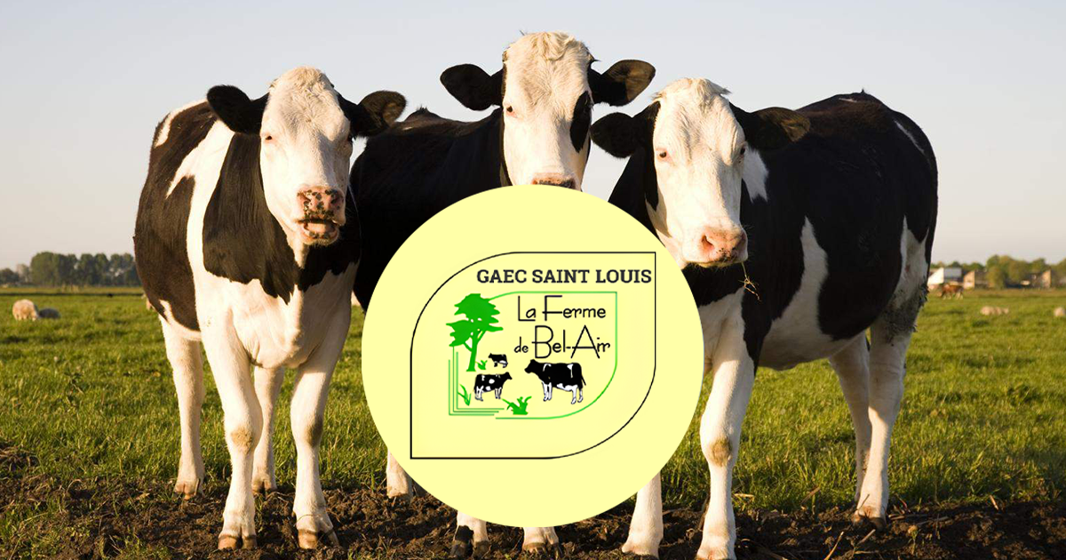 Gaec Saint Louis
